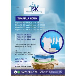 House cleaning, furniture cleaning and laundry services