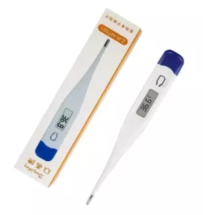 Digital Thermometer